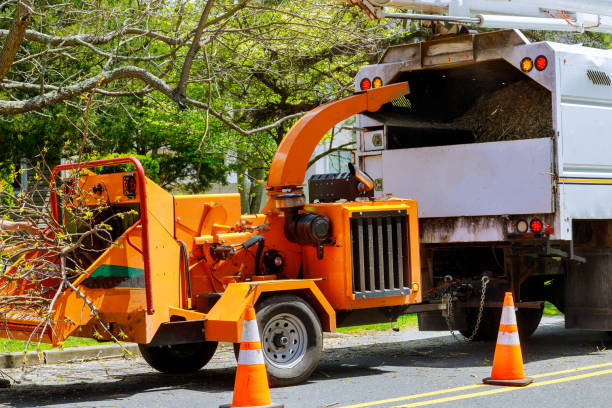 Best Firewood Processing and Delivery  in Callaway, FL